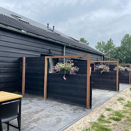 Cozy Holiday Home In Vrouwenpolder Close To The Beach Extérieur photo